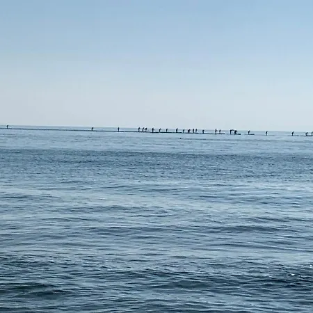 Lägenhet Apartamentoen La Playa, 200 Mts De La Playa Nuevo Santa Pola